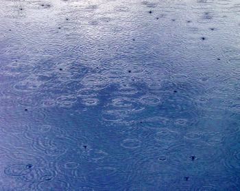 Rain